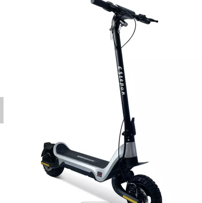 En vente roue de 12 pouces scooter électrique de route de 250 watts pour des adultes