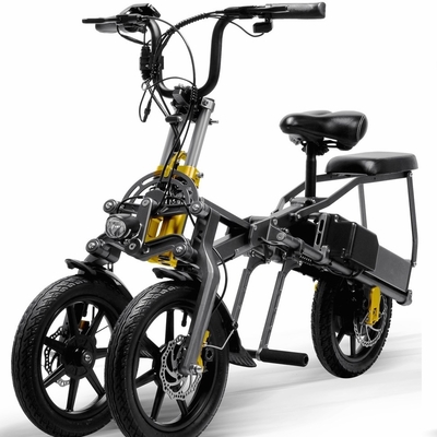 En scooter électrique de route d'ODM de vente de roue électrique portative du scooter 250w deux